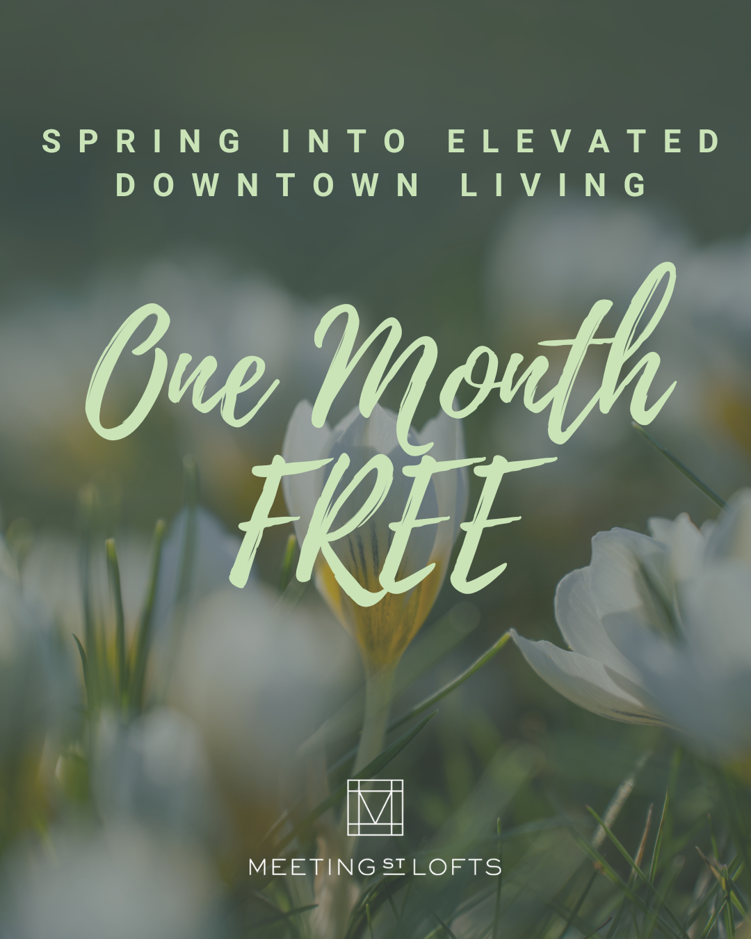 April Special For Meeting Street Lofts